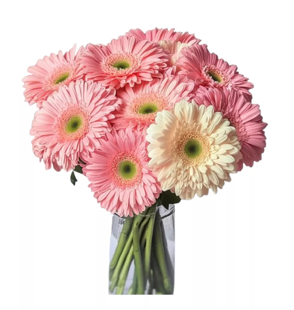 An Elegant Arrangement Of Gerberas