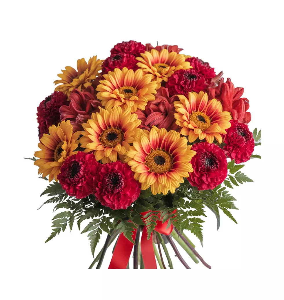 Graceful Mixed Gerbera Bliss